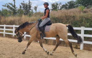 Travail à cheval