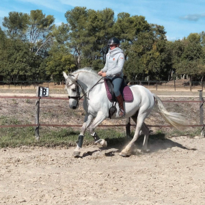 Dressage