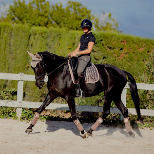 Travail à cheval