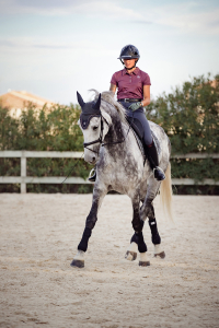 Dressage